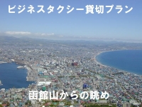 ビジネスタクシー貸切プラン/函館山からの眺め