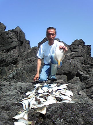 情報 函館 釣り 函館近郊ヤリイカ釣り!のはずがマイカ爆発!!絶好の夜釣りシーズン到来。│北海道発信の釣り情報ブログ│ふぃっしんぐっど！