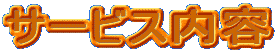 �T�[�r�X���e